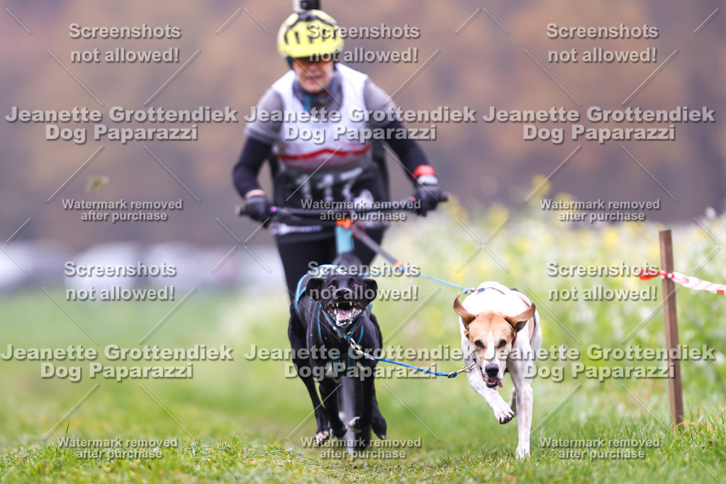 Dog Paparazzi - Visbeck 25 -78 | Dog Paparazzi Jeanette Grottendiek Fotografie & Videografie - Realisiert mit Pictrs.com