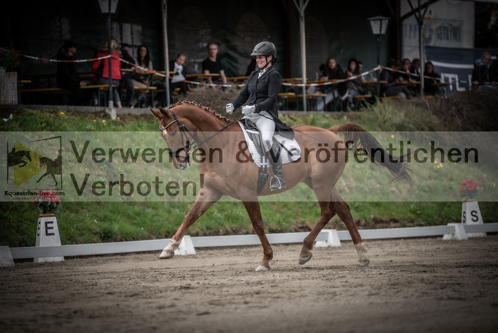 DSC_2507 | equestrian-live-com