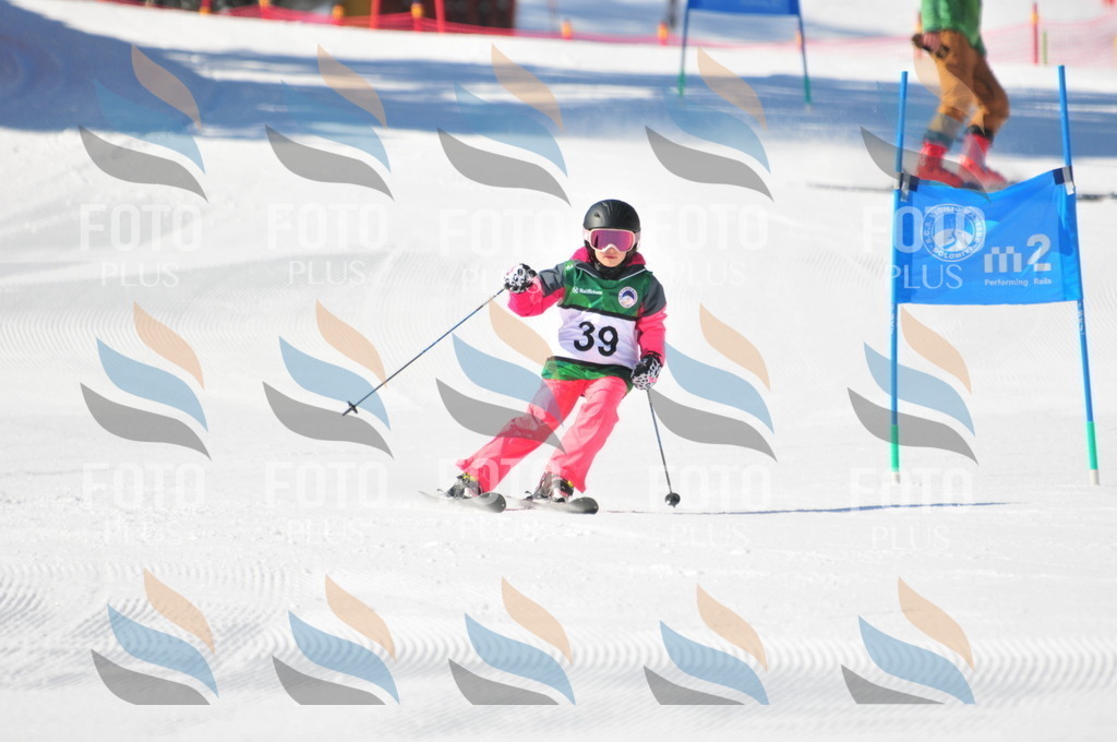 C2715 | holidayphoto