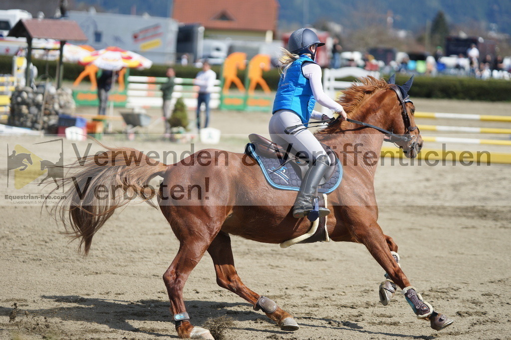DSC03147 | equestrian-live-com