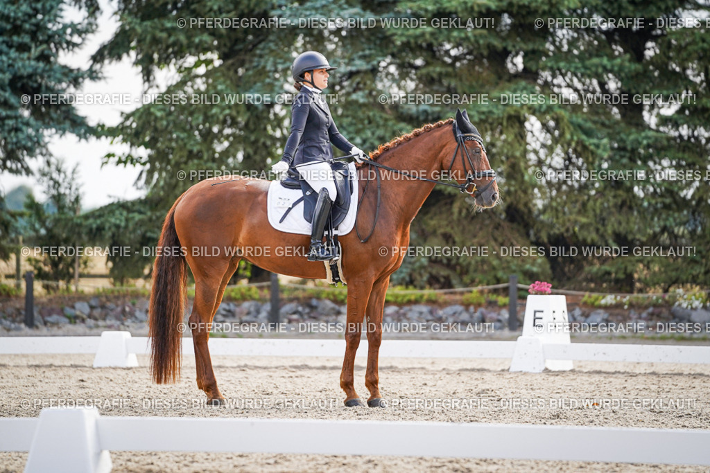 DSC00681 | Pferdegrafie