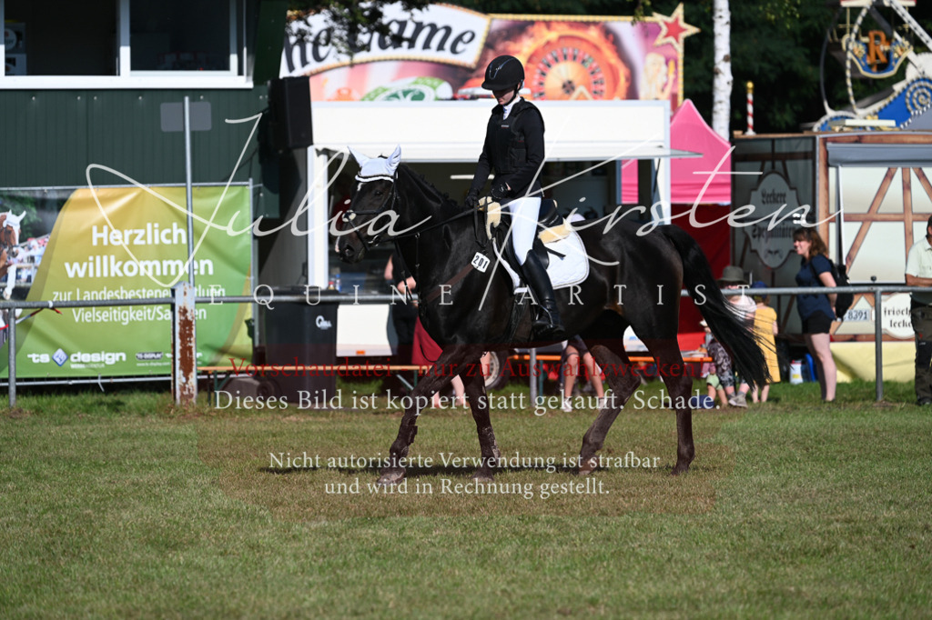 DSC_5124 | Pferde- und Turnierfotografie in Westsachsen. Pferdeportraits, Auftragszeichnungen und intuitive Kunst.