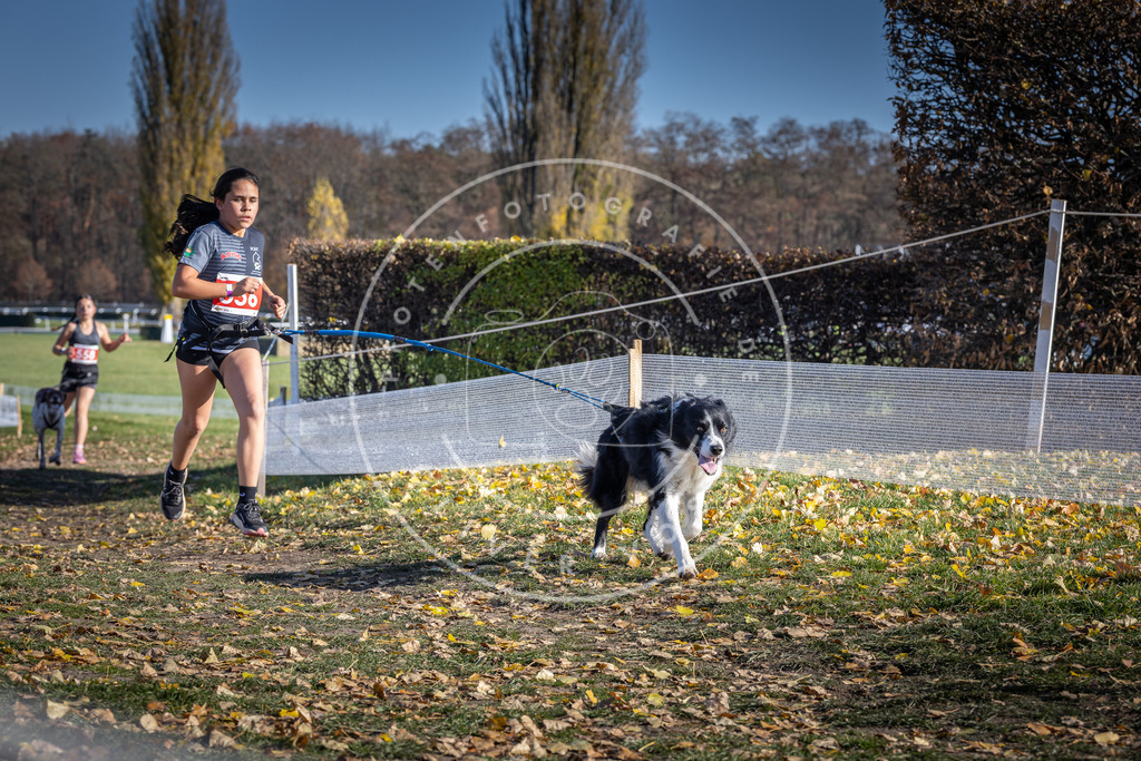 CaniXpix_DV3A8615 | Hundefotografie, Tierfotograf, Pfotenfotografie, Fotoshooting Hund, Hunde Portrait, Hundesport, Hundeportraits, Heideshooting, Hunde, Sportfotograf, Hundefotograf, Turnierhundsport, THS,  - Realisiert mit Pictrs.com