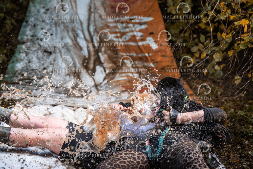 madeleinebirr-fotografie2025.campcanis.sa.15-16Uhr-527 | hundefotografie-birr