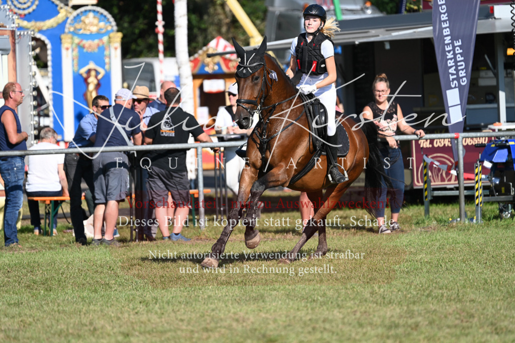 DSC_5161 | Pferde- und Turnierfotografie in Westsachsen. Pferdeportraits, Auftragszeichnungen und intuitive Kunst.