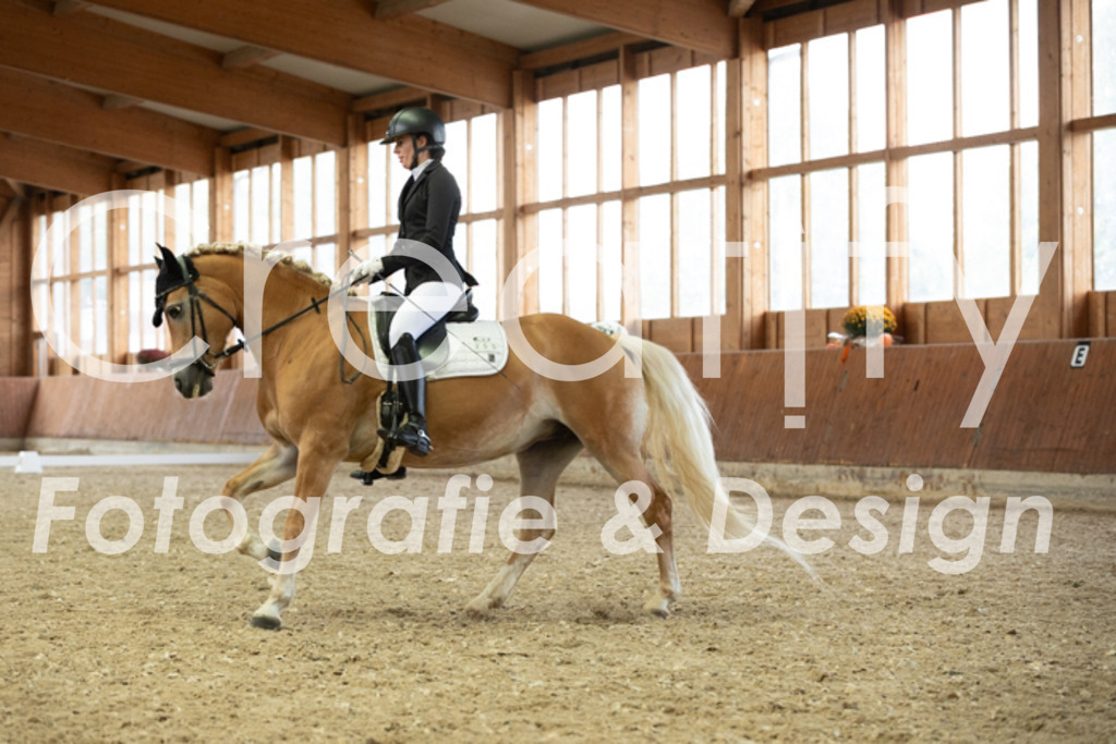 IMG_5878 | Creatify Fotografie