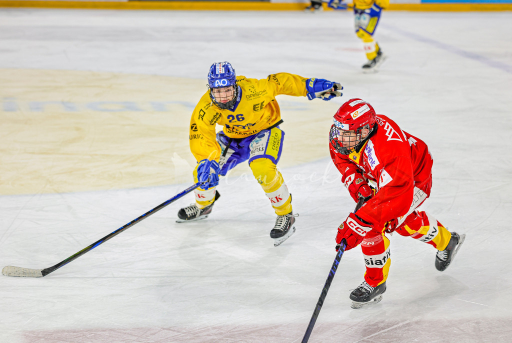 EHCB vs HCD-0263 | Sportbilder, Sportfotograf, Hochzeits- und Eventfotografin, Flugshows, Portraits und Tiershooting, Aviation, Downhill, Nationalleague, Swissleague, International