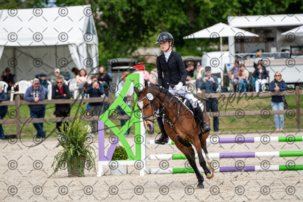 KPT_5965 | andre_photographic