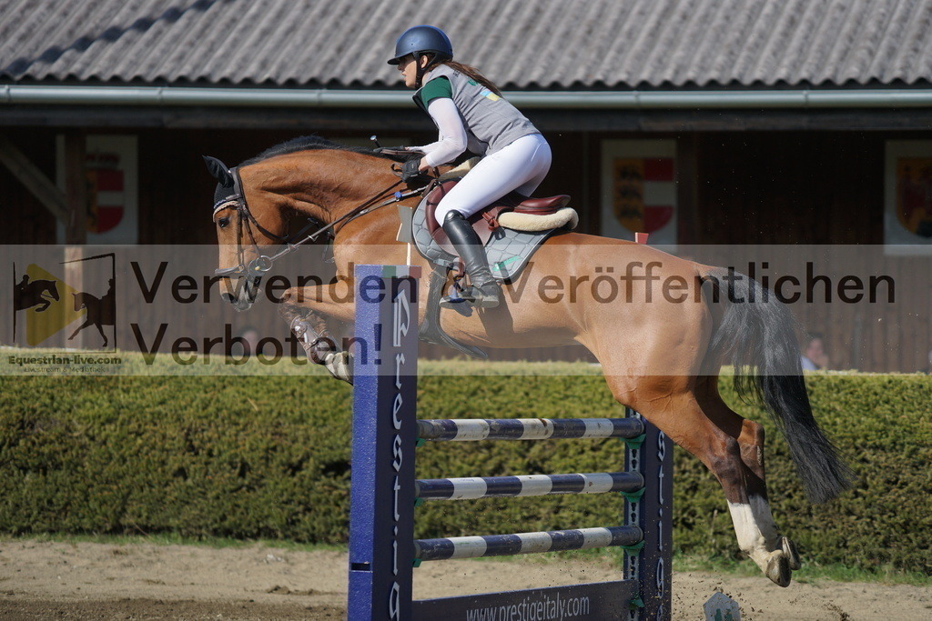 DSC03230 | equestrian-live-com