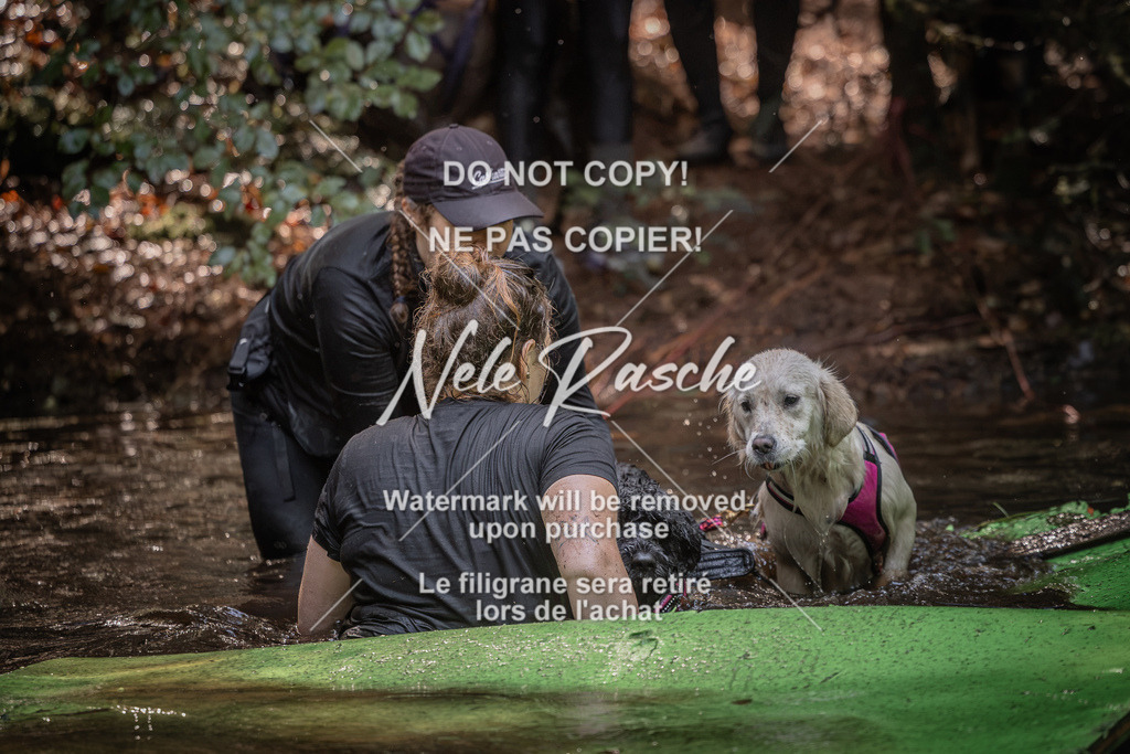 nelerasche_Wingst_Sa1330-1400_232 | nelerasche