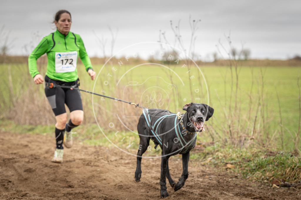 DV3A1979 | Hundefotografie, Tierfotograf, Pfotenfotografie, Fotoshooting Hund, Hunde Portrait, Hundesport, Hundeportraits, Heideshooting, Hunde, Sportfotograf, Hundefotograf, Turnierhundsport, THS,  - Realisiert mit Pictrs.com