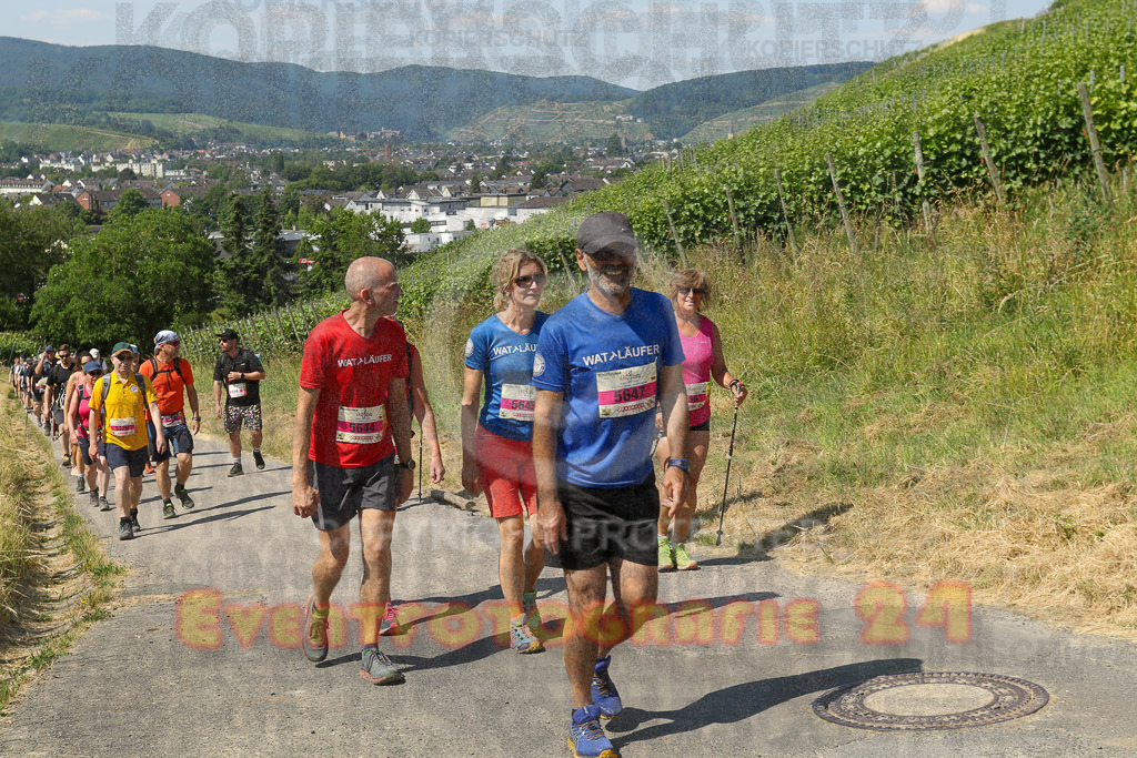 230617_1058_EV9_7470 | Sportfotografie im Rhein-Sieg Kreis, Köln, Bonn, NRW, Rheinland Pfalz, Hessen, etc. Unser Tätigkeitsfeld umfasst den Laufsport vom Volkslauf über den Marathon, Duathlon, Triathon bis zum Ultralauf wie Kölnpfad Ultra oder Schindertrail.