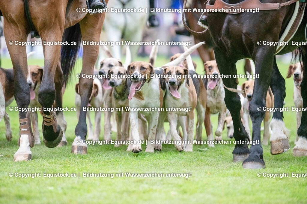 TS_20250606_Lange-Pferdenacht_0535 | Foto: Thomas Hartig