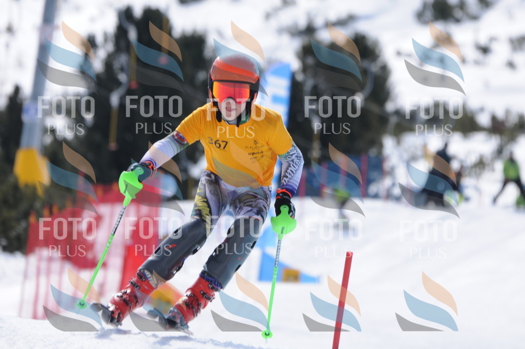 C9446 | holidayphoto
