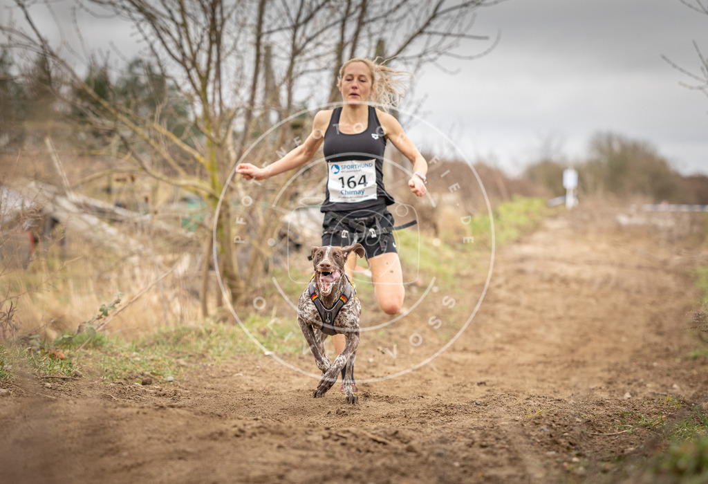DV3A1796 | Hundefotografie, Tierfotograf, Pfotenfotografie, Fotoshooting Hund, Hunde Portrait, Hundesport, Hundeportraits, Heideshooting, Hunde, Sportfotograf, Hundefotograf, Turnierhundsport, THS,  - Realisiert mit Pictrs.com