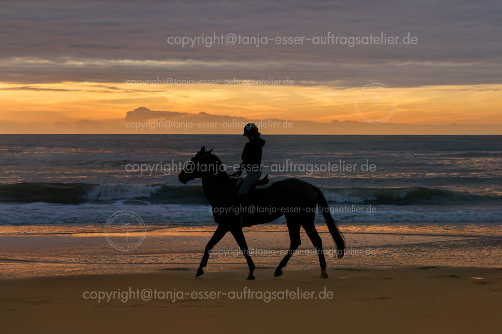 Rider with horse on the beach at sundown | Reiterin reitet langsam am Strand bei Sonnenuntergang. Sie ist fast nur als Silhouette zu sehen. 