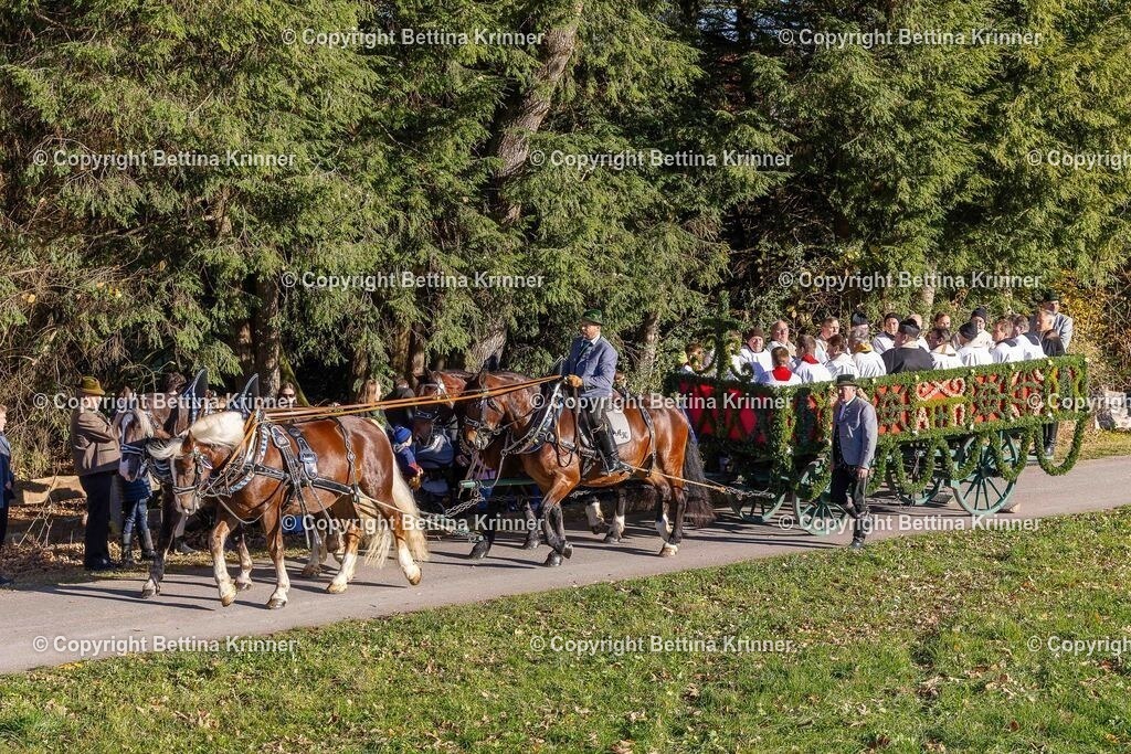 LBT25-22 | foto-bettina-krinner - Realisiert mit Pictrs.com