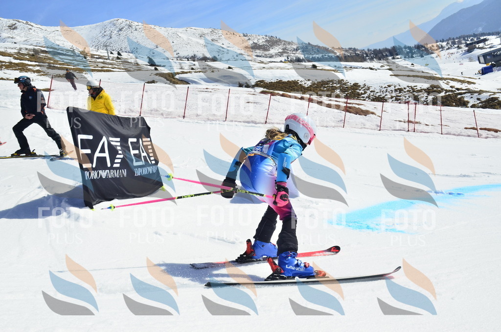 _ELE0355 | holidayphoto