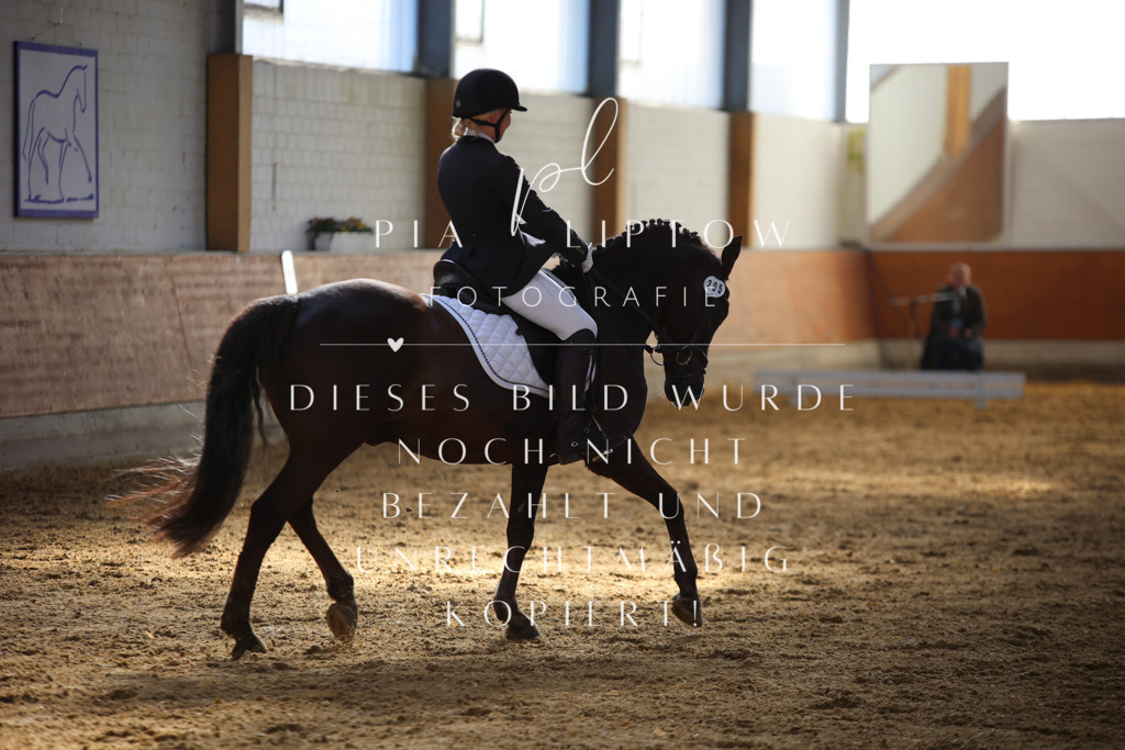 IMGT6299 | pl-fotografie