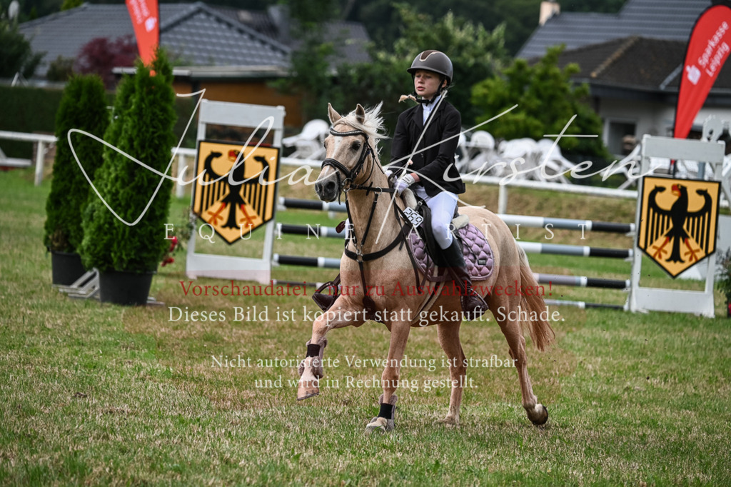 DSC_8615 | Pferde- und Turnierfotografie in Westsachsen. Pferdeportraits, Auftragszeichnungen und intuitive Kunst.