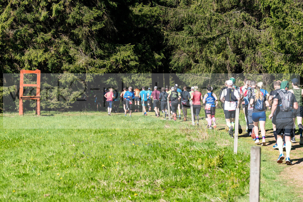 Rennsteiglauf 2019 | Marathon Neuhaus/Rwg. - Schmiedefeld am 18. Mai 2019