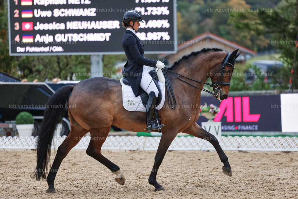 12-186-DRESSUR  S___  -StoibPH-5373 | working equitationturnier fotograf videograf stoibphotography marixx film working equitation deutschland reitsport turnierfotografie eventfotografie equestrian events