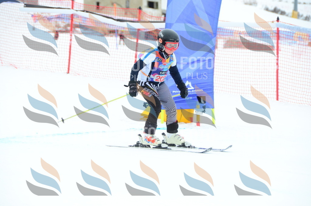 DSC_1837 | holidayphoto