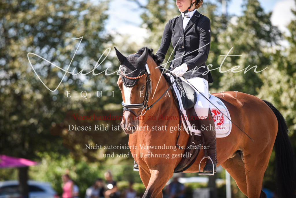 DSC_9467 | Pferde- und Turnierfotografie in Westsachsen. Pferdeportraits, Auftragszeichnungen und intuitive Kunst.