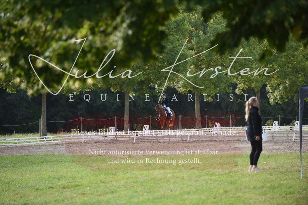 DSC_8568 | Pferde- und Turnierfotografie in Westsachsen. Pferdeportraits, Auftragszeichnungen und intuitive Kunst.