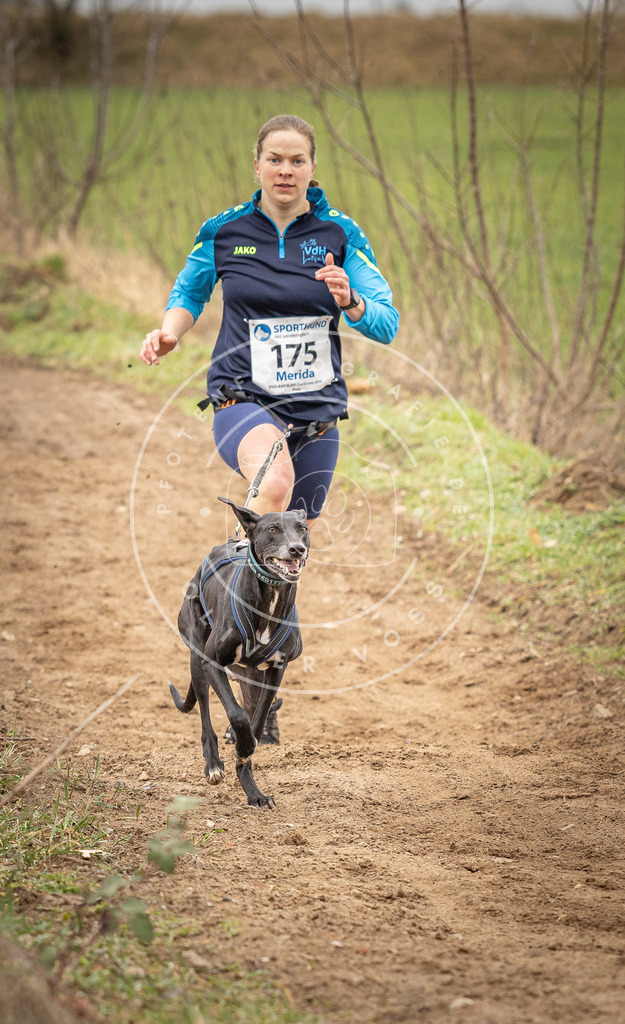 DV3A2001 | Hundefotografie, Tierfotograf, Pfotenfotografie, Fotoshooting Hund, Hunde Portrait, Hundesport, Hundeportraits, Heideshooting, Hunde, Sportfotograf, Hundefotograf, Turnierhundsport, THS,  - Realisiert mit Pictrs.com