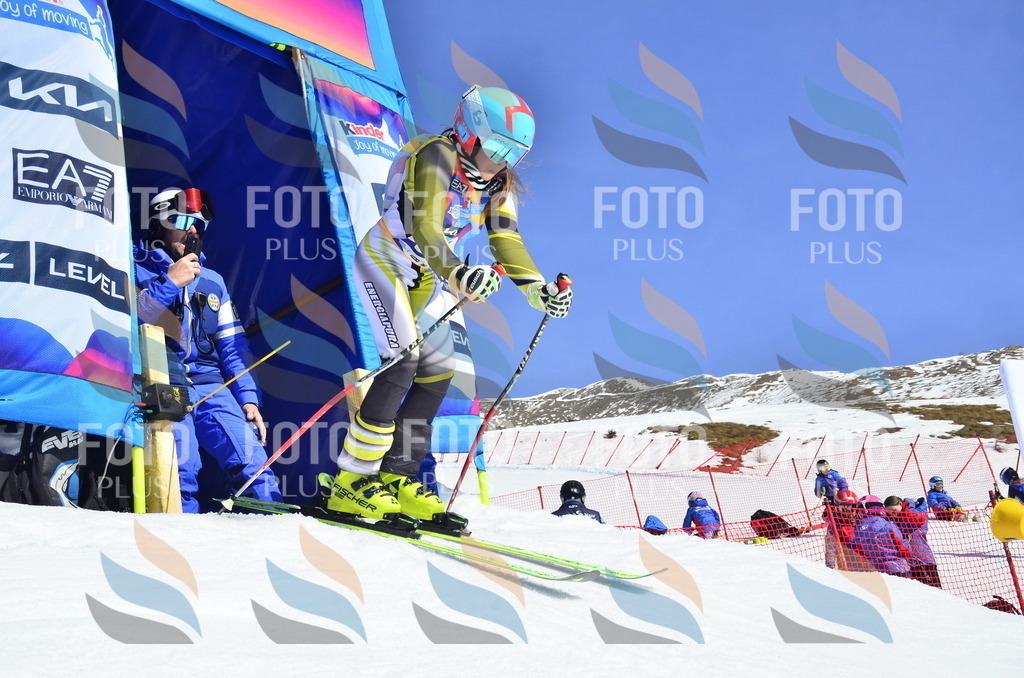 _ELE0107 | holidayphoto