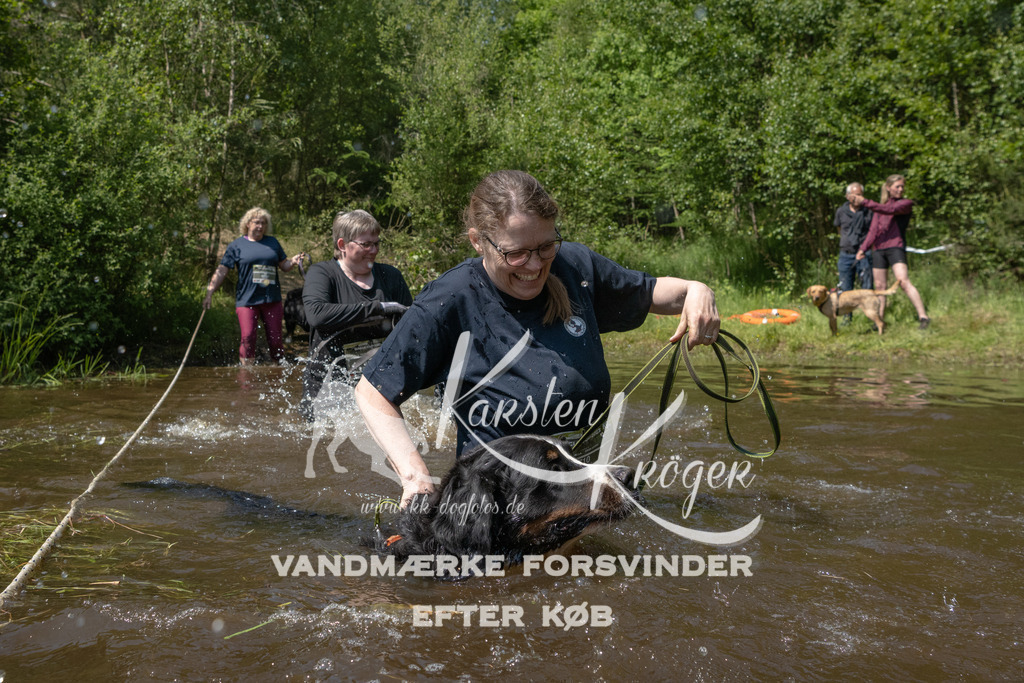 1425DKK990346 | kk-dogfotos