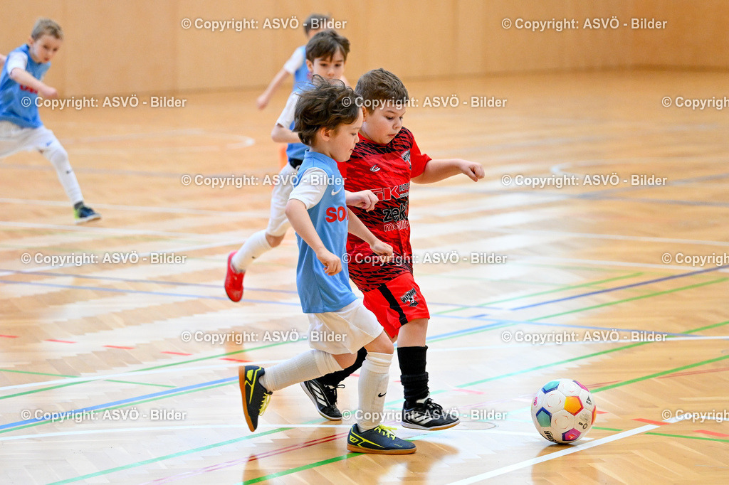 ASVÖ_ Fussball Nachwuchs Hallenturnier 2026_ SV Gallneukirchen_ 28.02.2026-49 | 28.02.2026, Gallneukirchen, AUT, ASVÖ, Fussball Nachwuchs Hallenturnier 2026, SV Gallneukirchen im Bild Teilnehmer U7©Harald Dostal / fodo.media - Realisiert mit Pictrs.com