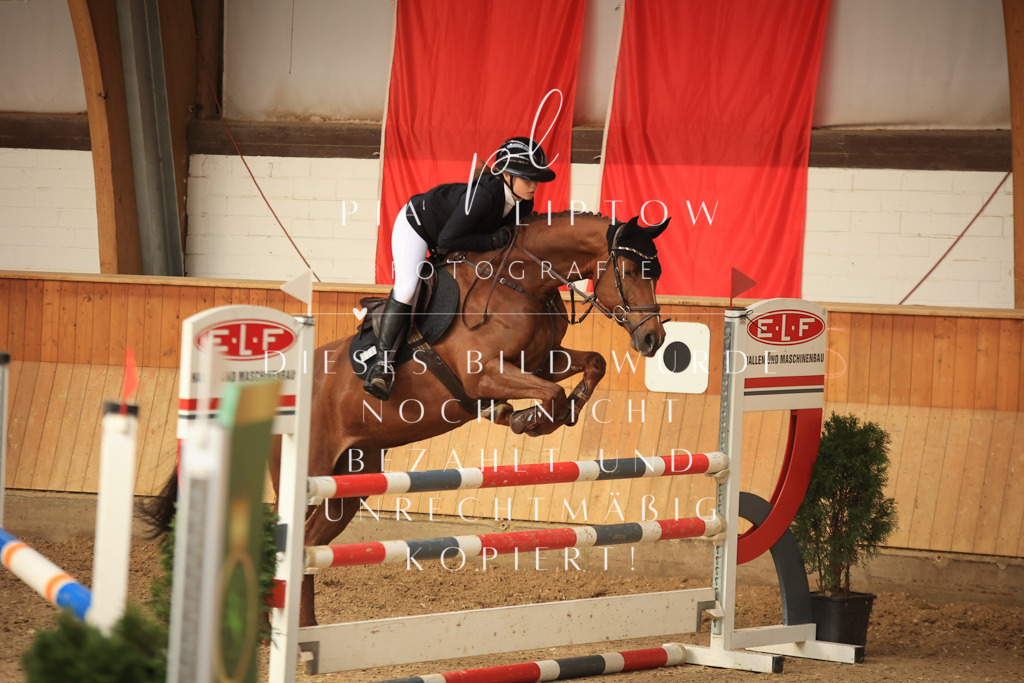 IMGT1167 | pl-fotografie