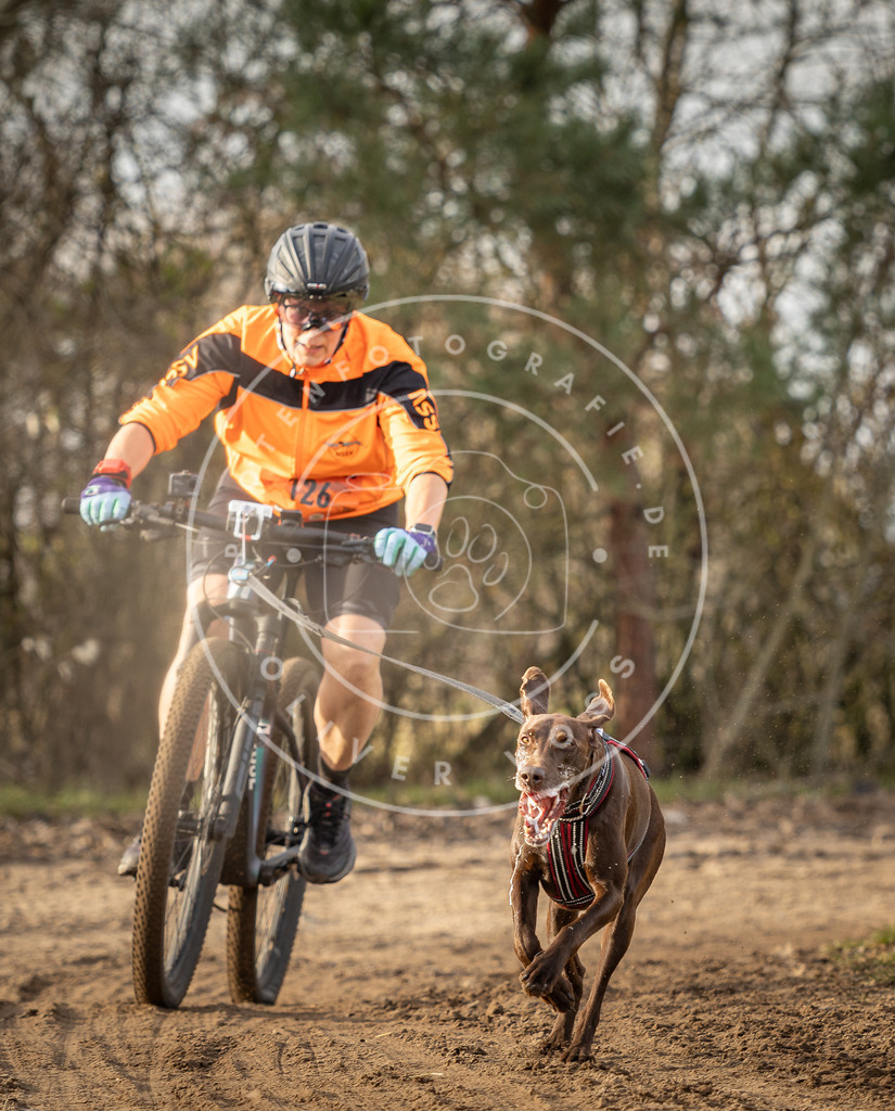 Pfotenfotografie_DV3A8505 | Hundefotografie, Tierfotograf, Pfotenfotografie, Fotoshooting Hund, Hunde Portrait, Hundesport, Hundeportraits, Heideshooting, Hunde, Sportfotograf, Hundefotograf, Turnierhundsport, THS,  - Realisiert mit Pictrs.com