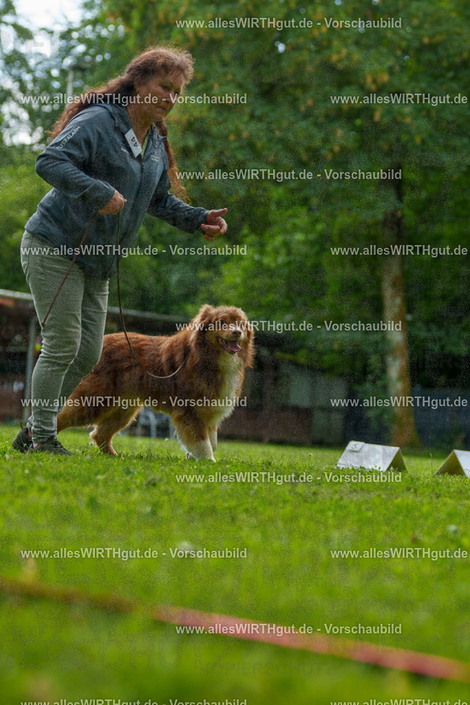 @allesWIRTHgut_Tierfotografie - www.allesWIRTHgut.de - 7R505122 | Professionelle Tierfotografie in Mönchengladbach von Daniel Wirth (allesWIRTHgut). Liebevolle & natürliche Bilder von Hunden & Katzen für unvergessliche Erinnerungen.
