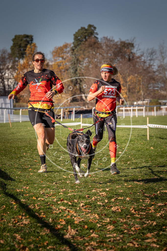 CaniXpix_0L8A7140 | Hundefotografie, Tierfotograf, Pfotenfotografie, Fotoshooting Hund, Hunde Portrait, Hundesport, Hundeportraits, Heideshooting, Hunde, Sportfotograf, Hundefotograf, Turnierhundsport, THS,  - Realisiert mit Pictrs.com