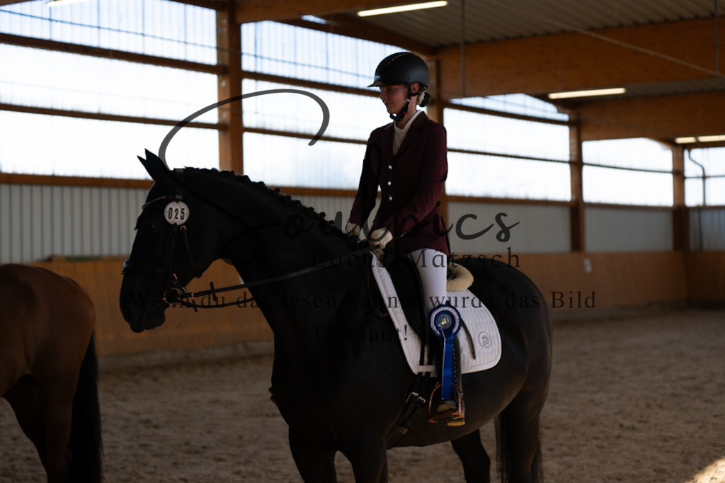 A7V02014 | Pferdefotograf