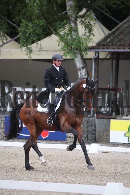 Ichenheim_2024_Prfg.Nr.05_Dressurprfg_Kl.S_Marc Thorsten Gerhardt_Gräfin Vitalia (14) | Alle Fotos der Reiterjournal Fotografin Doris Matthaes im Reiterjournal Online-Fotoshop. - Realizado com Pictrs.com