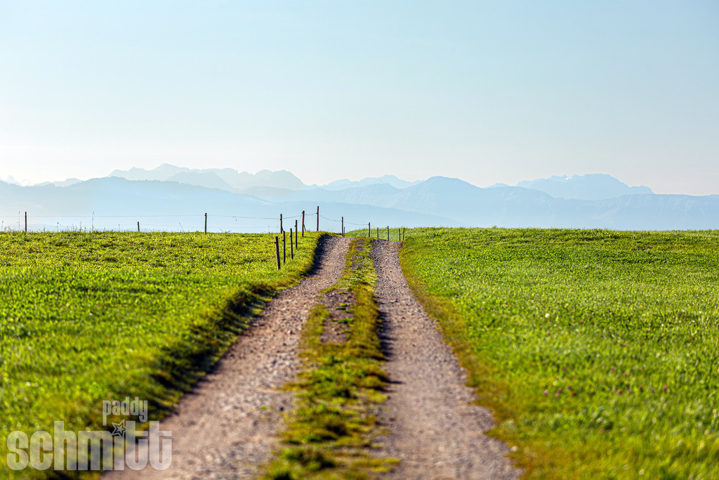 PS-Wege-2026-7 | Entdecke die größte Bildgalerie der Region mit Fotografien aus dem Allgäu, der Bodenseeregion, Oberschwaben, dem Donautal und der Schwäbischen Alb. Landschaften, Luftaufnahmen und Reisefotografie als Wandbild und Fotokunst. - Realisiert mit Pictrs.com