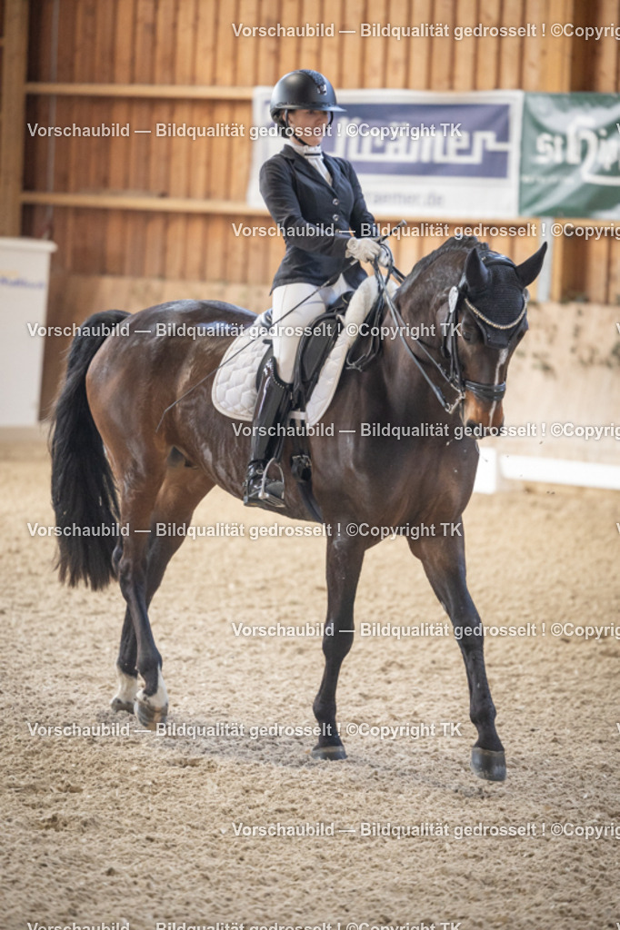 _D5A5836 | Emotionale Pferde- & People-Fotografie rund um Heidelberg, Leimen & Umgebung. Natürliche Fotos von Pferd, Mensch & Familie. Jetzt Termin sichern!