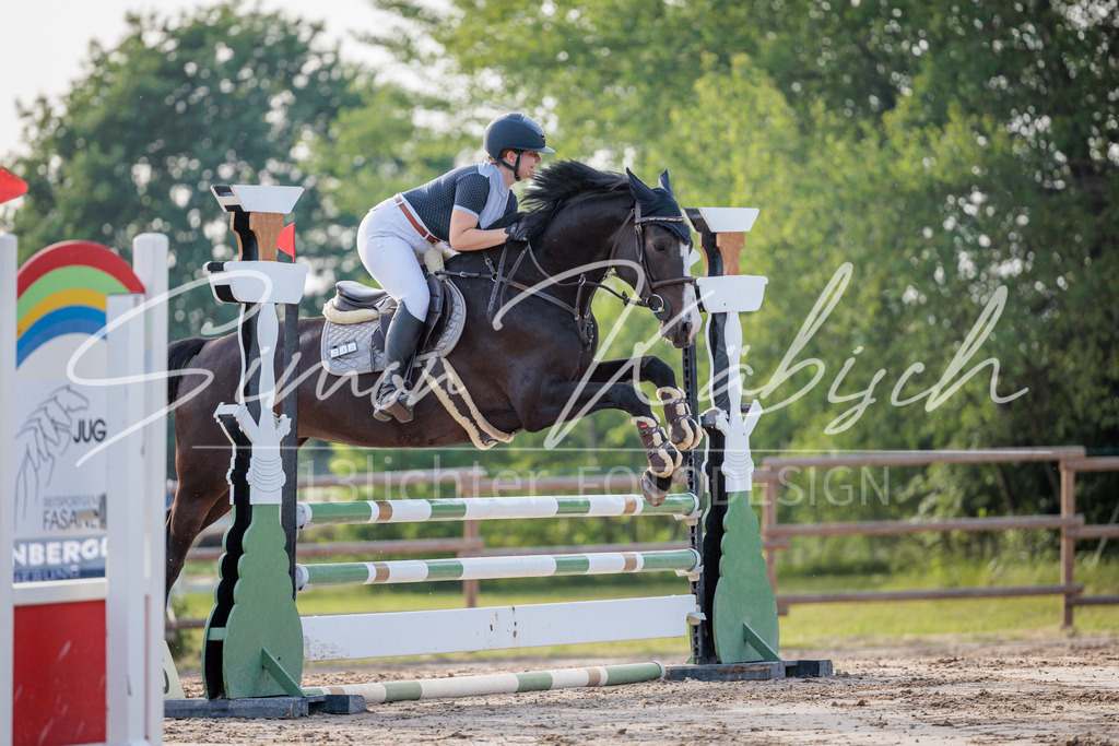 20260529-_3LI1198 | Tierfotografie Pferde, Hunde, Katzen, Haustiere.
Turnierfotografie Reitturniere, Reiten, Springreiten, Dressur in Hanau, dem Main-Kinzig-Kreis und dem Rhein-Main- Gebiet um Frankfurt