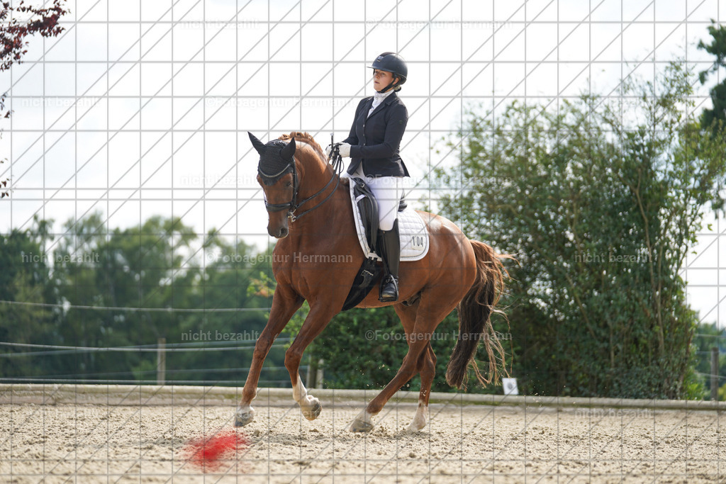 20230826-FAH06157 | Forstinning, 2023, Dressurturnier, Turniersportbilder, Turnierfotografen Bayern, Fotoagentur Herrmann, Reitsportfotografie, Turnierbilder