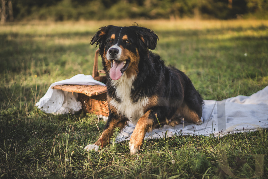 MGFoto-0039 | Newborn - Realisiert mit Pictrs.com