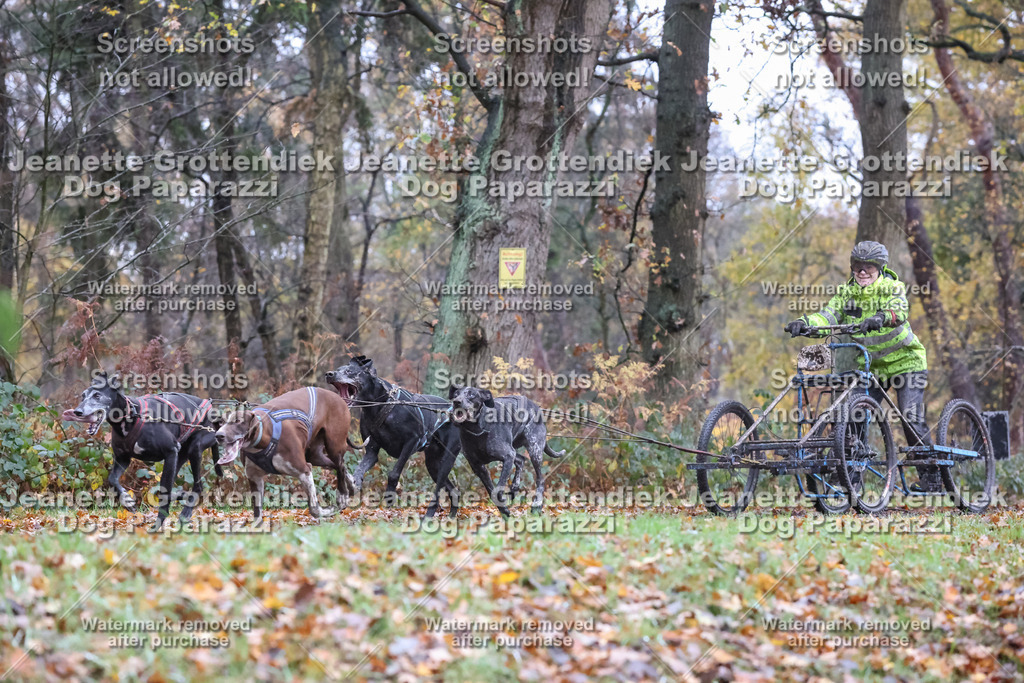 Dog Paparazzi - Ströhen 25-27 | Dog Paparazzi Jeanette Grottendiek Fotografie & Videografie - Realisiert mit Pictrs.com