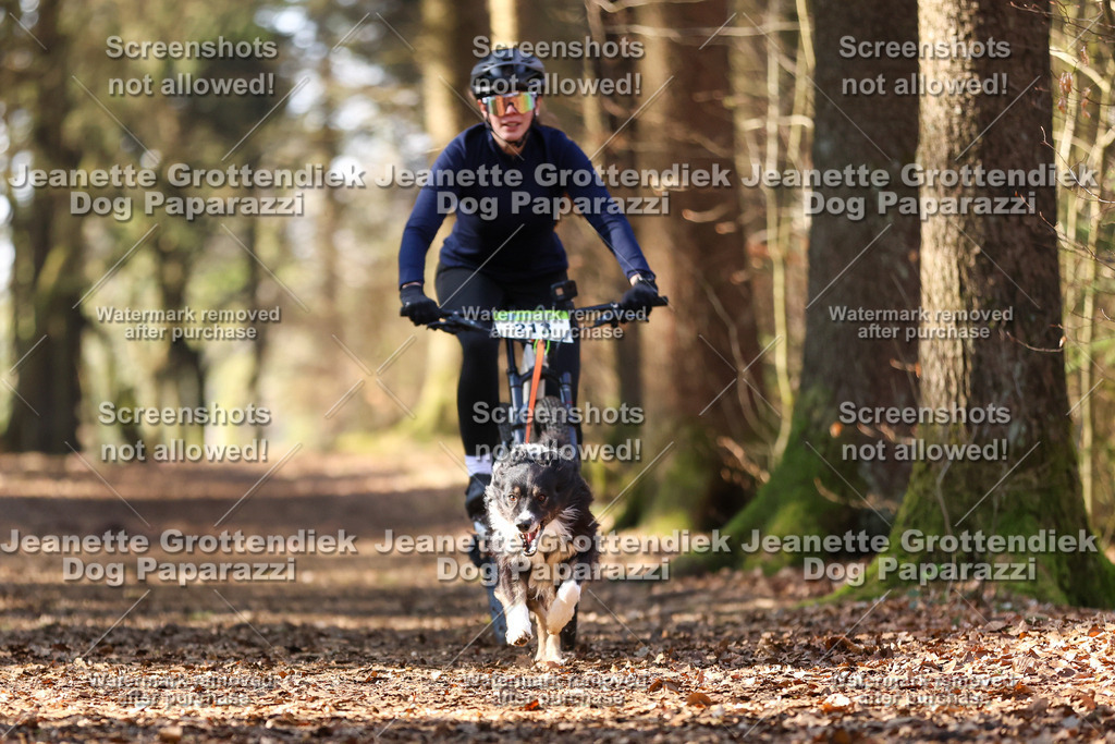 Dog Paparazzi - VCC26-1047 | Dog Paparazzi Jeanette Grottendiek Fotografie & Videografie - Realisiert mit Pictrs.com