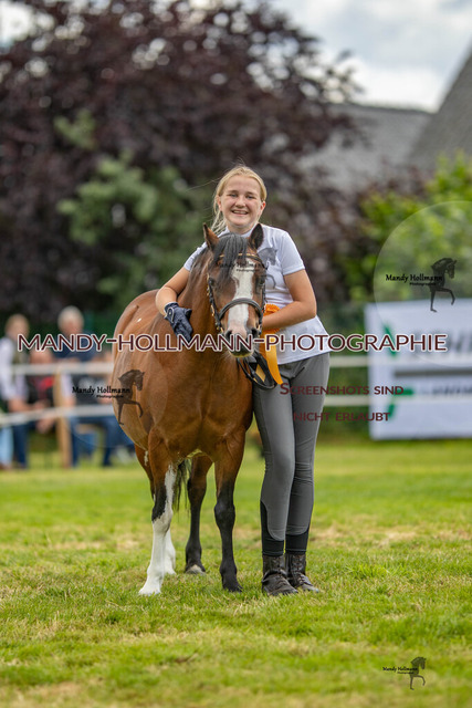 IG WELSH VM 2024-486 | mandyhollmannphotographie