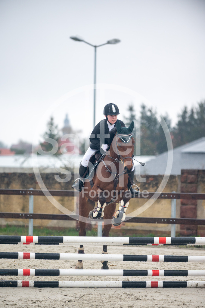 DSC_8875 | sattelsport - Realisiert mit Pictrs.com