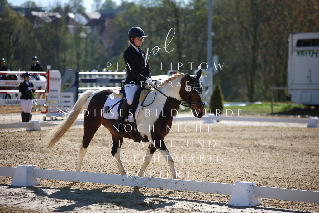 IMGT9907 | pl-fotografie