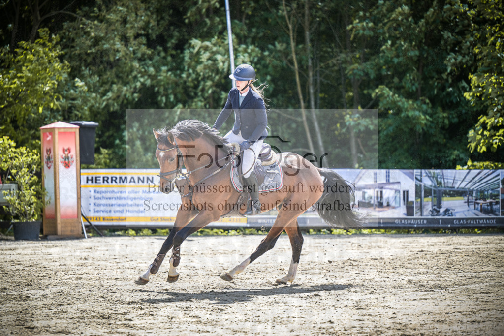 DOS_4455 | Entdecke hochwertige Reitturnierfotos von Foto Oger. Professionell, emotional und authentisch – jetzt Lieblingsmomente im Shop bestellen.Deutschlandweite Turnierfotografie. - Realisiert mit Pictrs.com
